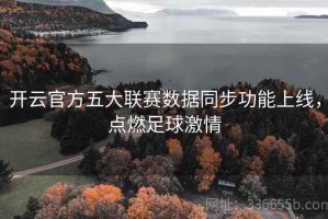 开云官方五大联赛数据同步功能上线，点燃足球激情