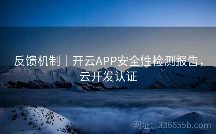 反馈机制｜开云APP安全性检测报告，云开发认证