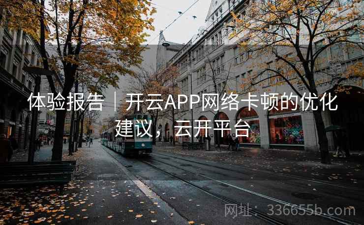 体验报告｜开云APP网络卡顿的优化建议，云开平台